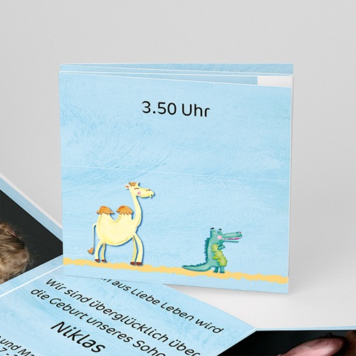 Babykarten für Jungen - Arche 16236