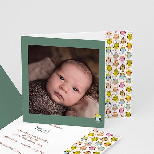 Babykarten für Jungen - Eule 2234