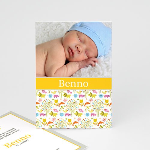 Babykarten für Jungen - Savanne 2254