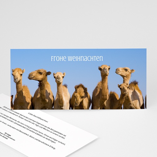 Weihnachtskarten - Mannschaft 22949