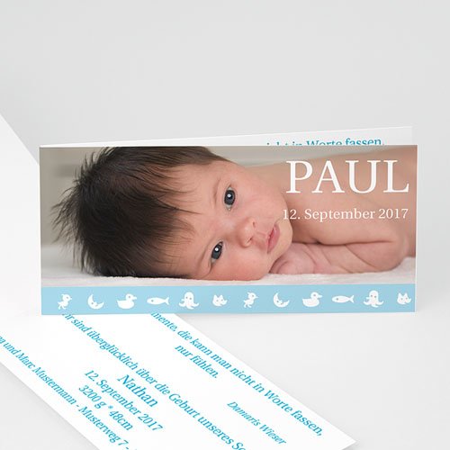 Babykarten für Jungen - Alexander 2864