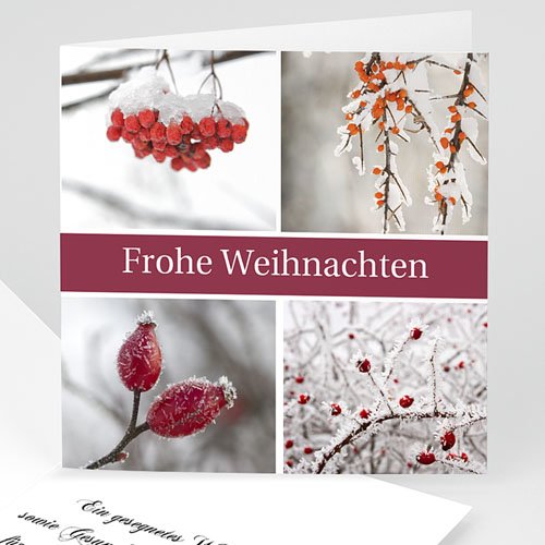 Weihnachtskarten - Fotomontage 3672