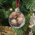 Personalisierte Christbaumkugel Meine Familie