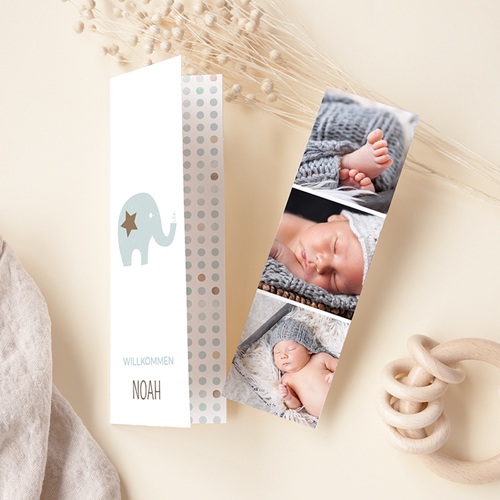 Babykarten für Jungen - Elefant Duo 51851
