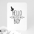 Geburtskarten für Jungen King Boy