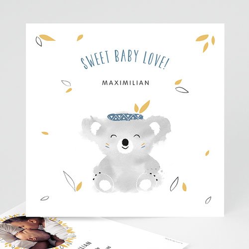 Babykarten für Jungen - Koala blau 53824