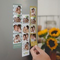 Fotomagnet Paulux Grün-Gelb (3er Set)