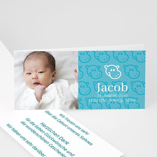 Babykarten für Jungen - Nilpferd 8796