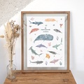 Plakate die Unterwasserwelt, Poster Zimmer, 30 X 40 cm